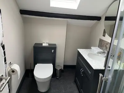 a bathroom with a toilet and a sink at The Castle Coaching Inn in Trecastle