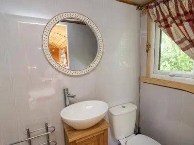 a bathroom with a toilet and a sink and a mirror at Shepherd's Cwtch in Llandovery