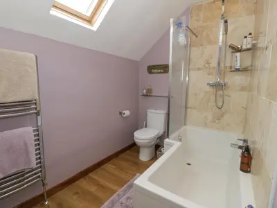 a white bathroom with a shower and a toilet at Pennant Tigi Uchaf in Dolgellau