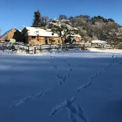 Oak Barn