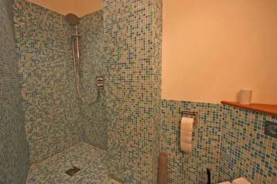 a bathroom with a shower with blue mosaic tiles at Henllys Lodge in Cilycwm