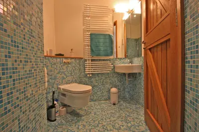 a bathroom with a toilet and a sink at Henllys Lodge in Cilycwm
