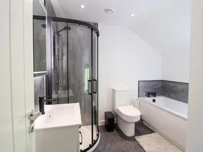 a bathroom with a shower and a toilet and a sink at Bwthyn Camlan in Machynlleth