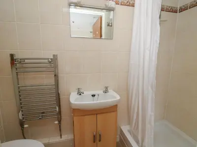 a bathroom with a sink and a toilet and a shower at Nuthatch Cottage at Riverside Lodge in Rhayader