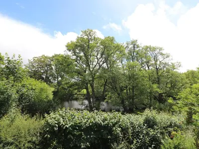 a tree in the middle of a field at Nuthatch Cottage at Riverside Lodge in Rhayader
