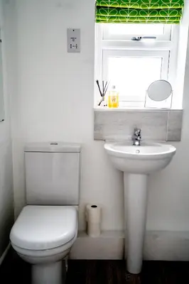 a bathroom with a toilet and a sink and a window at Cottage in Ludlow in Ludlow