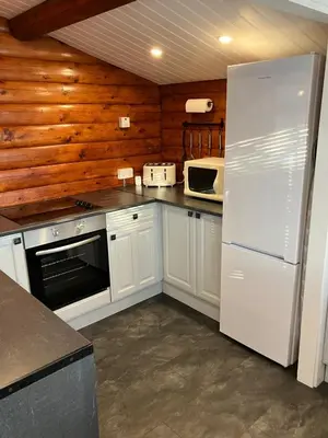 a kitchen with white appliances and wooden walls at Snowdonia luxury log cabin in Trawsfynydd
