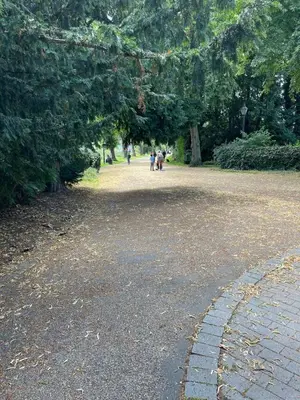 a group of people walking in a park at St Julians house in Shrewsbury