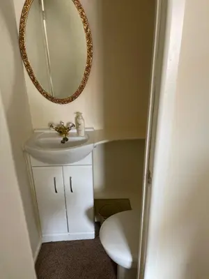 a bathroom with a sink and a mirror and a toilet at St Julians house in Shrewsbury