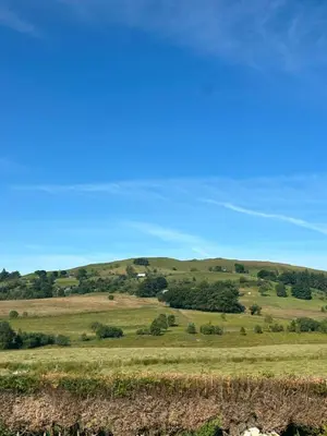 a green field with hills in the background at Cosy countryside cottage in Aberystwyth