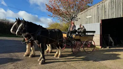 two people riding in a horse drawn carriage at The Barn at Middle Farm and Cottages in Picklescott