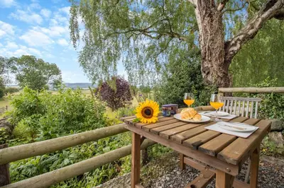 a wooden table with a sunflower and two glasses of wine at 1 Bed in Leintwardine oc-b29785 in Brampton Bryan