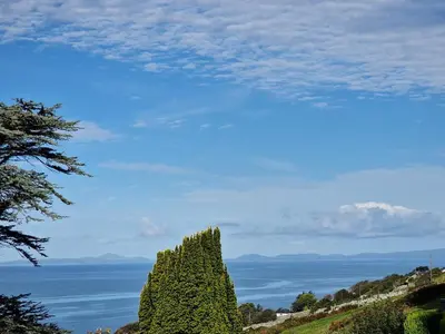 a tall tree on a hill next to the ocean at Woodland Roost in Barmouth