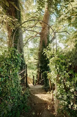 an archway over a path in a forest at Kestrel lodge in Wrexham