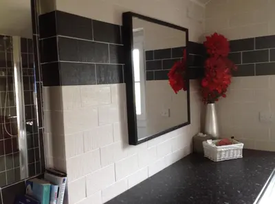 a bathroom with a mirror and a vase with red flowers at Garth Engan B&B with private lounge in Llanbedr