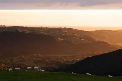 a group of animals grazing on a grassy hill at Aberystwyth by Wigwam Holidays in Aberystwyth