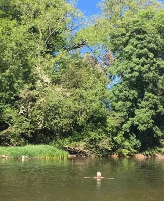 a man swimming in a river near trees at Cosy Welsh Town Cottage in Brecon
