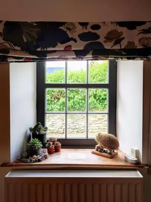 a window in a room with potted plants at Cosy Welsh Town Cottage in Brecon