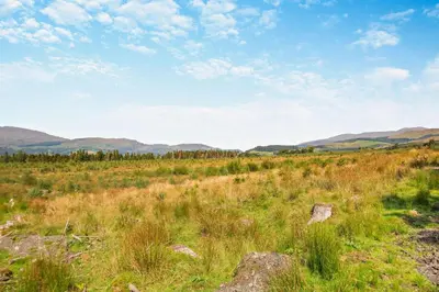 a field of grass with mountains in the background at 1 Bed in Brithdir oc-w30045 in Rhydymain