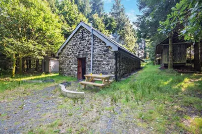 a log cabin with a picnic table in front of it at 1 Bed in Brithdir oc-w30045 in Rhydymain