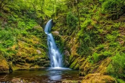 a waterfall on the side of a hill with trees at Y Mor Cosy Apartment in Tywyn