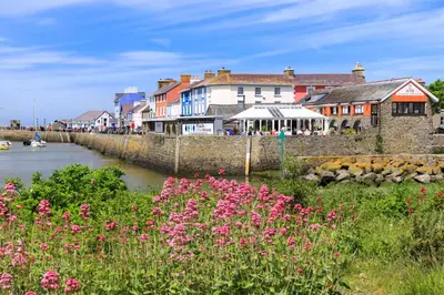 a group of flowers next to a river with buildings at Hen Ffermdy Aberaeron in Cross Inn