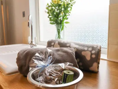 a bowl of food on a table with a vase of flowers at Tŷ Kinik in Llangollen