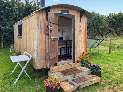 a wooden out house with stairs in a yard at Myfanwy in Ciliau-Aeron