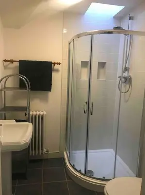 a bathroom with a shower and a toilet and a sink at Craig Fach Coach House in Builth Wells