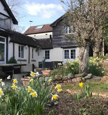 a house with yellow flowers in front of a yard at Craig Fach Coach House in Builth Wells