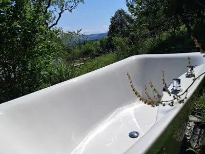 a white bath tub with a plant sitting in it at Hilltop Train Carriage with a View in Machynlleth