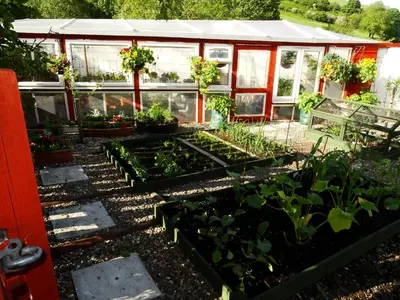a greenhouse full of plants in the garden at Llew Coch B&B formerly The Red Lion inn in Llanfihangel-nant-Melan