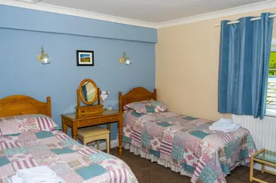 a bedroom with two beds and a mirror at Llew Coch B&B formerly The Red Lion inn in Llanfihangel-nant-Melan