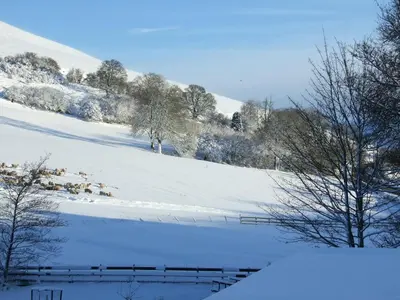 a snow covered field with trees and a fence at Llew Coch B&B formerly The Red Lion inn in Llanfihangel-nant-Melan