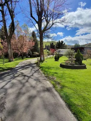 a road in a park with trees and grass at Glan yr Afon Un - Relax Recuperate Enjoy in Welshpool