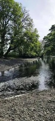 a stream of water with trees in the background at Glan yr Afon Un - Relax Recuperate Enjoy in Welshpool