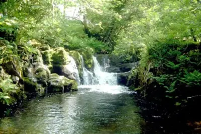 a painting of a waterfall in a forest at Happy Horse Cottages in Sennybridge