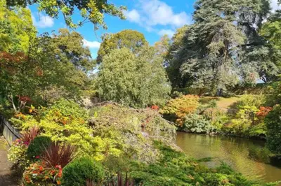 a river in a park with trees and bushes at Cosy Nook - Town centre flat with free nearby parking, in Shrewsbury