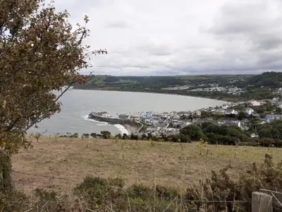 a view of a bay from a hill at Newquay Haven caravan 42x14 with Ocean Views in New Quay