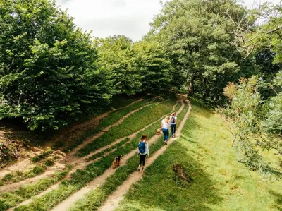 a group of people and a dog walking down a trail at 2 Bed in Capel Bangor oc-m30146 in Capel Bangor
