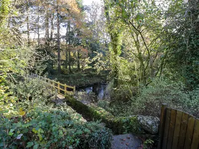 a path through a forest with a bridge and trees at River Cottage in Llanbedr
