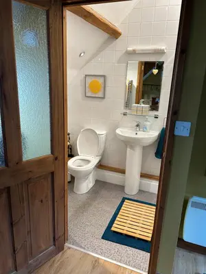 a bathroom with a toilet and a sink at Cosy riverside property in Aber-Brân