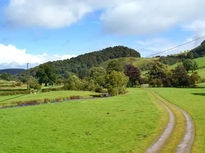 a field of green grass with a dirt road at The Coach House - Hw7782 in Llanarmon Dyffryn-Ceiriog