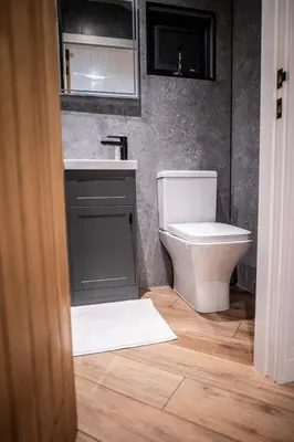 a bathroom with a toilet and a sink at Newydd Lodge with private hot tub in Llangollen