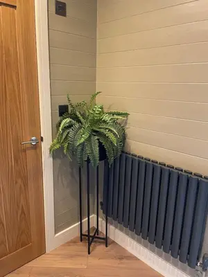 a plant in a room next to a radiator at Dinas Lodge with private hot tub in Llangollen