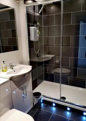 a bathroom with a shower and a sink and a toilet at Fabulous Sea View Apartment in Aberdyfi