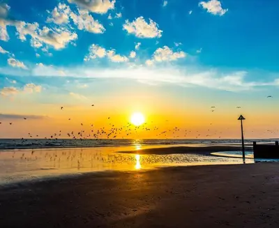 a flock of birds flying over a beach at sunset at Cysgod Idris Cottage in Dolgellau