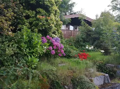 a garden with flowers in front of a house at Spyder Ranch in Trawsfynydd