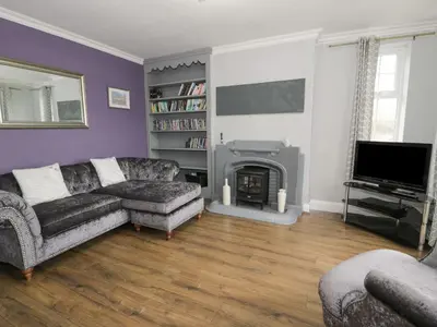 a living room with a couch and a fireplace at Tan Y Fron in Dyffryn