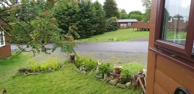 a view of a garden from a window of a house at Hamishs log cabin in Trawsfynydd